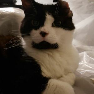 Meet your Posher, Daphne